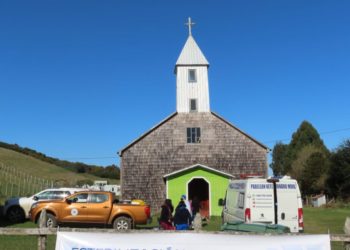 Con gran éxito se realiza el primer operativo veterinario para islas Quehui y Chelín