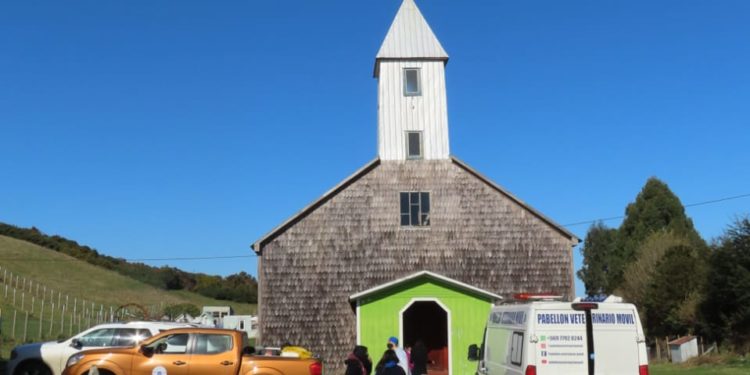 Con gran éxito se realiza el primer operativo veterinario para islas Quehui y Chelín