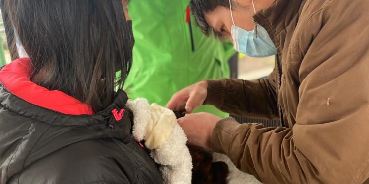 Alcalde Vera quiere ampliar con servicio de urgencias la Clínica Veterinaria Municipal