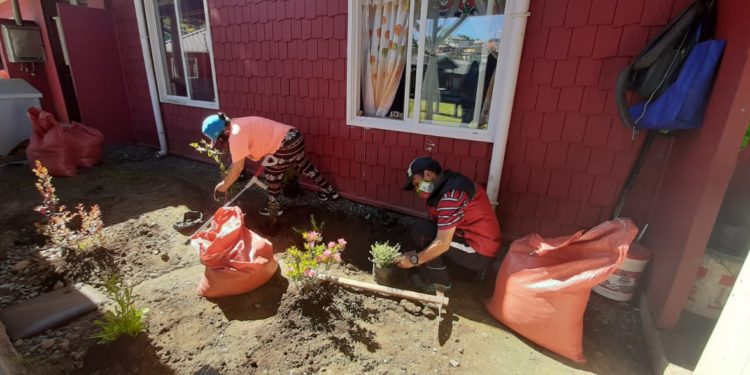 Residentes de Casas Tuteladas de Castro hermosean sus jardines