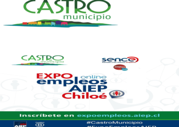 En Castro se gesta una nueva versión de Expo Empleos Online Chiloé