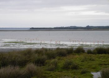 Castro Municipio se adjudica 2 concesiones marítimas para fines turísticos y conservación ambiental