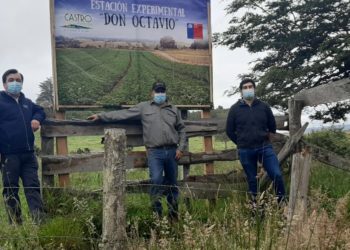 Instalan en Castro la primera Estación Experimental de semillas de papas