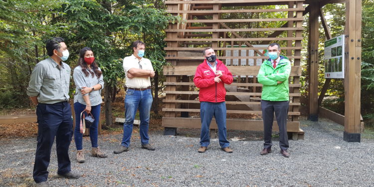 Bosque Experimental de Puacura se posiciona como ejemplo a nivel nacional