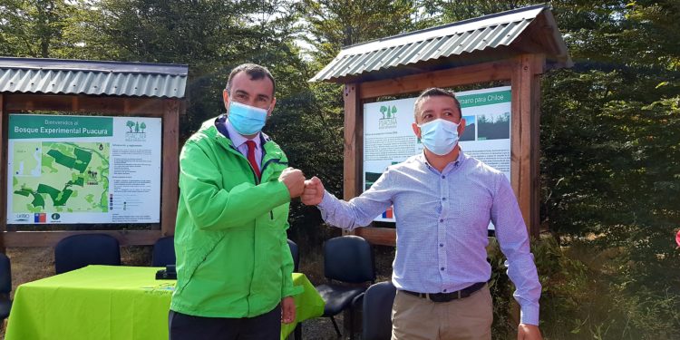 Asume nuevo concejal en la comuna de Castro