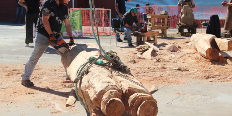 IV Simposio Nacional de Esculturas en Castro pondrá en valor el patrimonio de los pueblos originarios