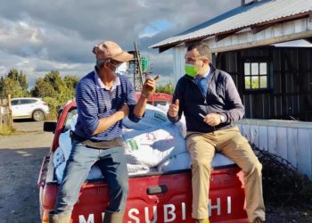 Castro Municipio entrega $36 millones en insumos agrícolas a usuarios de Prodesal