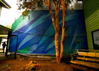 Edificio de Castro Municipio estrena mural con pintura que descontamina el aire