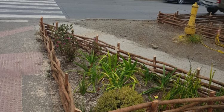 Castro recupera sus áreas verdes con impronta chilota