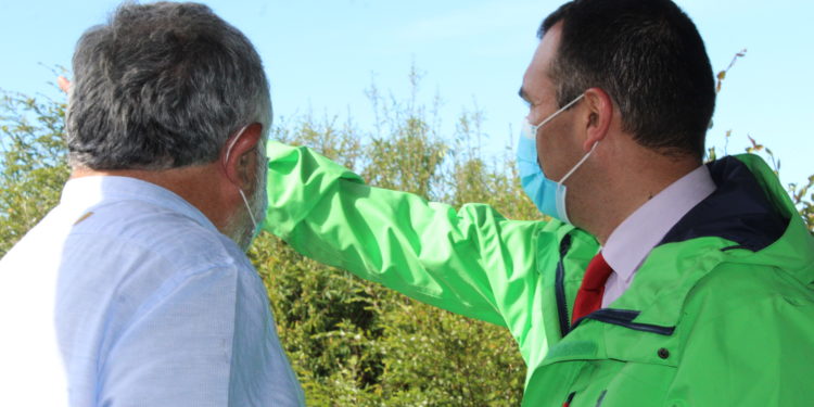 Castro se reforestará con árboles nativos y frutales para el disfrute y mejorar la calidad de vida de sus habitantes.