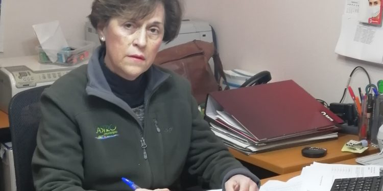 Castro Municipio invita a los vecinos a actualizar su Registro Social de Hogares