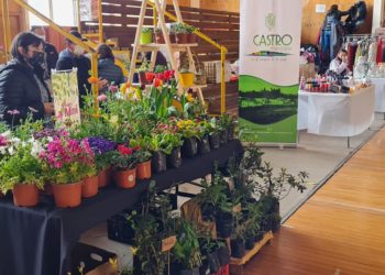 Emprendedores sacan cuentas alegres tras exitosa Expo Castro 2021 que reunió a 3000 personas