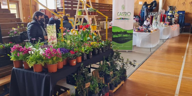 Emprendedores sacan cuentas alegres tras exitosa Expo Castro 2021 que reunió a 3000 personas