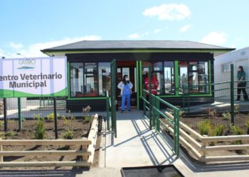 Centro Veterinario Municipal llega a casi 5 mil atenciones en su primer año de funcionamiento