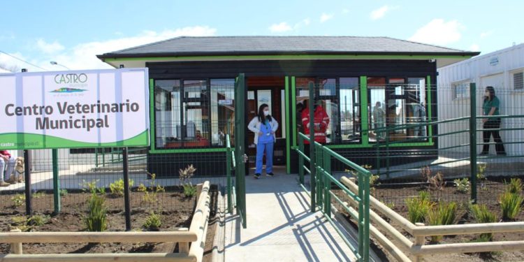 Centro Veterinario Municipal llega a casi 5 mil atenciones en su primer año de funcionamiento