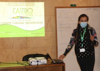 Consejo Consultivo Comunal de Discapacidad avanza en el proceso de transformar a Castro en una comuna más inclusiva.