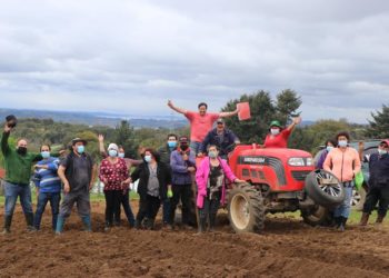 Castro Municipio apuesta por la Innovación Tecnológica para el desarrollo de la agricultura local