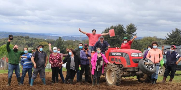 Castro Municipio apuesta por la Innovación Tecnológica para el desarrollo de la agricultura local