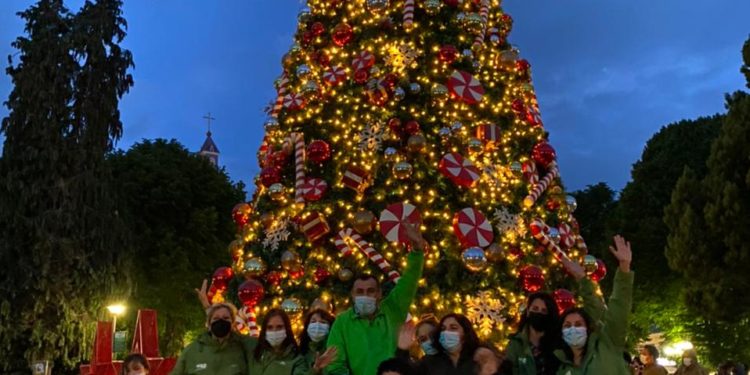 Con encendido de luces del Árbol de Navidad se da inicio a las fiestas de fin de año