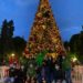 Con encendido de luces del Árbol de Navidad se da inicio a las fiestas de fin de año