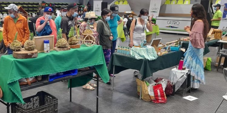 Se dio el vamos a la primera Feria Municipal de emprendedores Castro