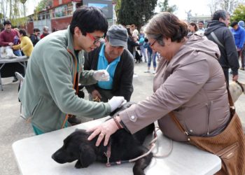 Tenencia responsable de mascotas: Una tarea permanente en el municipio