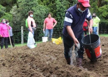 Alcalde Vera exige al gobierno que se implemente con urgencia programa “Siembra por Chile”