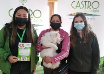 Exitoso operativo médico veterinario se realizó en islas de Castro