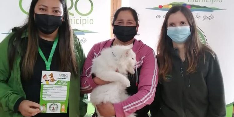 Exitoso operativo médico veterinario se realizó en islas de Castro