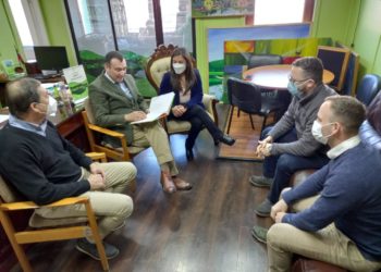 Castro sería pionero en tener buses eléctricos para el transporte urbano