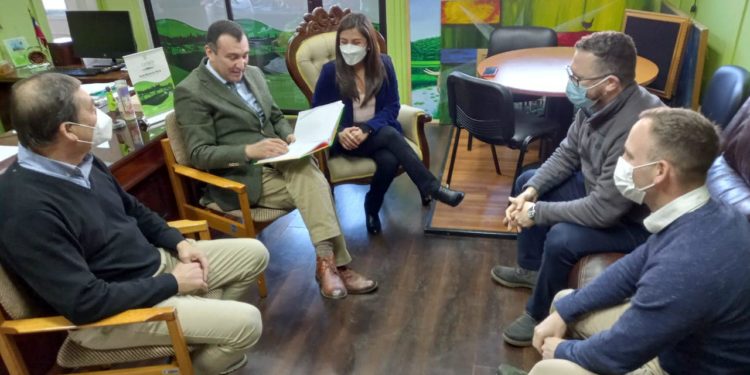 Castro sería pionero en tener buses eléctricos para el transporte urbano