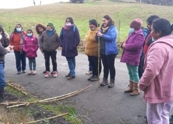 Antuco Báez dicta taller de rescate de técnicas ancestrales a artesanas de Isla Quehui