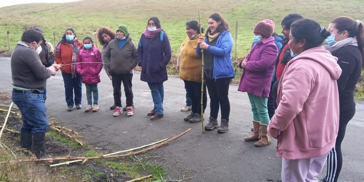 Antuco Báez dicta taller de rescate de técnicas ancestrales a artesanas de Isla Quehui