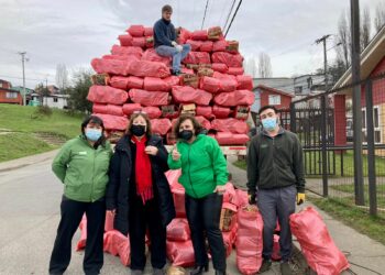 Castro Municipio y Senama entregan más de mil sacos de leña a adultos mayores