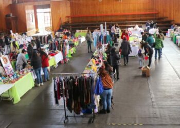 Exitosa feria expo inclusiva se desarrolló en Castro