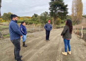 En terreno se buscan soluciones a las inquietudes de vecinos de Lingue