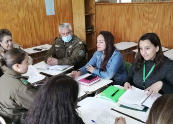 La Dirección de Seguridad Pública de Castro Municipio efectuará encuesta de seguridad en el Liceo Politécnico