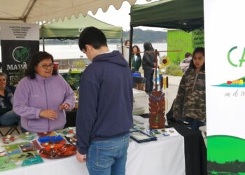 Apuestan por una segunda versión: Exitosa Feria Medio Ambiental motiva a vecinos