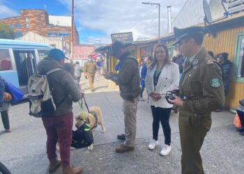 Castro Municipio invita a disfrutar el Año Nuevo de manera segura