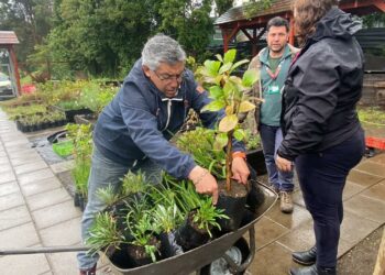 Castro Municipio comparte su trabajo y experiencia en su vivero municipal