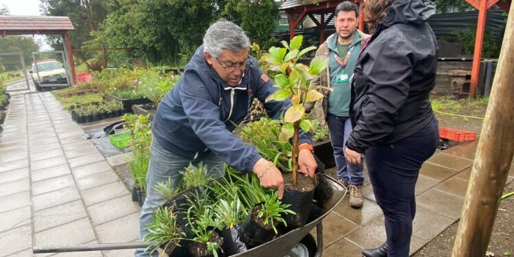 Castro Municipio comparte su trabajo y experiencia en su vivero municipal