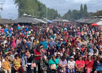 Castro Municipio anuncia inicio de postulaciones para Feria de la Biodiversidad y Festival Costumbrista