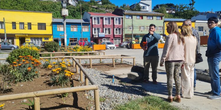 Barrio Lillo florece gracias al trabajo conjunto entre vecinos y Castro Municipio