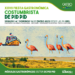 XXVII Fiesta Gastronómica y Costumbrista Pid Pid da la bienvenida al verano en Castro
