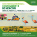 XXVIII Fiesta Gastronómica y Costumbrista de Nercón invita a disfrutar en familia de las ricas tradiciones