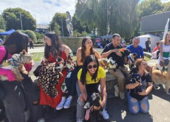 1er Festival de Mascotas en Castro realizó más de 100 atenciones veterinarias