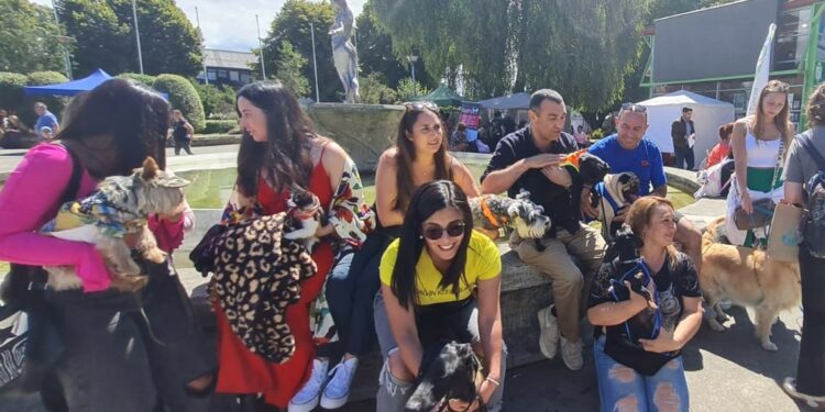 1er Festival de Mascotas en Castro realizó más de 100 atenciones veterinarias