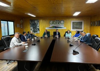 Certezas y salvar la Educación y Salud municipalizada fueron los principales acuerdos de los alcaldes chilotes
