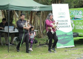 Oficina de tenencia responsable llama a la comunidad a participar de los operativos para mascotas