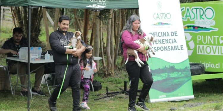Oficina de tenencia responsable llama a la comunidad a participar de los operativos para mascotas